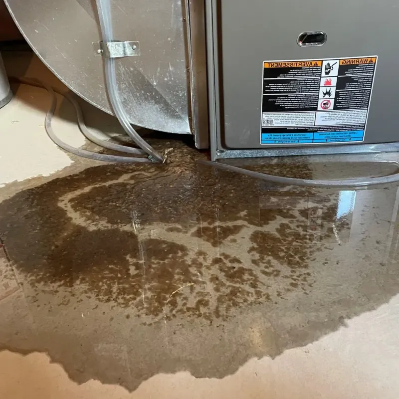 Pipe Burst and Leak Restoration in Ripley, WV