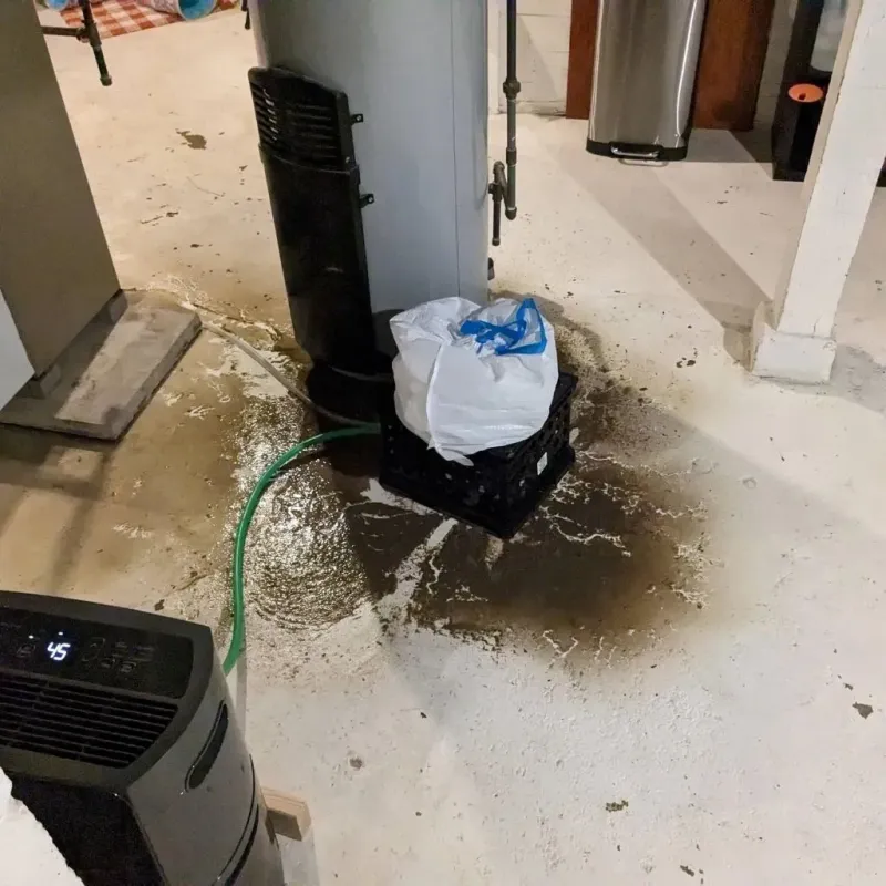 Sewage Backup Cleanup Service in Ripley, WV